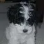 uのプロフィール画像