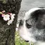 たーコのプロフィール画像