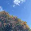 もーかのプロフィール画像