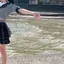 みみっきゅのプロフィール画像