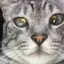 cakのプロフィール画像