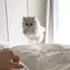 🌛のプロフィール画像