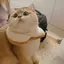 れれのプロフィール画像