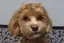 ゆうのプロフィール画像