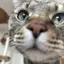 千のプロフィール画像