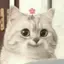 たなかのプロフィール画像
