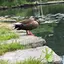 ちっちのプロフィール画像