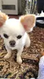 晴のプロフィール画像