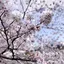 apiのプロフィール画像
