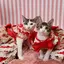 LuluElleのプロフィール画像