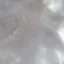 にこのプロフィール画像