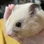 あやのプロフィール画像