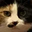 Mのプロフィール画像