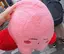 ととちゃんのプロフィール画像