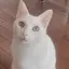 ayaのプロフィール画像
