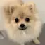 正明のプロフィール画像