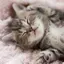 なおのプロフィール画像