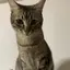 Mのプロフィール画像