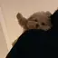 みかのプロフィール画像