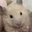 ひなたのプロフィール画像