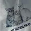 こやまのプロフィール画像