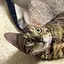 kmのプロフィール画像