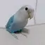 めろぴのプロフィール画像