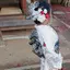 Uのプロフィール画像