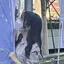 姫愛紗のプロフィール画像
