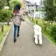 kikkoのプロフィール画像