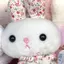ウサのプロフィール画像