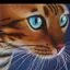 WMMWのプロフィール画像