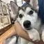 みあのプロフィール画像