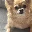 じゅりのプロフィール画像