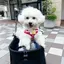 みのプロフィール画像
