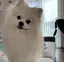 ありいのプロフィール画像