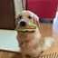 なっちゃんのプロフィール画像
