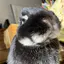 大学生のプロフィール画像