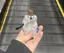 彩香のプロフィール画像