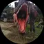 N子のプロフィール画像