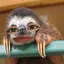omoのプロフィール画像