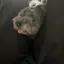 ひのプロフィール画像