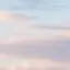りんのプロフィール画像