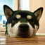 古谷由佳のプロフィール画像