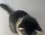 sのプロフィール画像