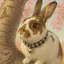 cookieのプロフィール画像