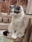 麗のプロフィール画像