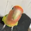 ルイスのプロフィール画像