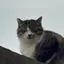 まるのプロフィール画像