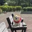 Laylyのプロフィール画像